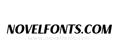 Decary Sans It PERSONAL USE
