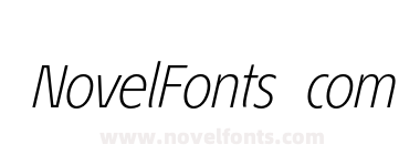 EconoSansRed-46LightItalic