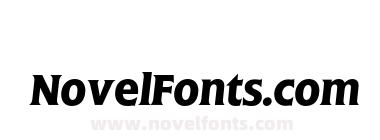 FlangeBQ-MediumItalic