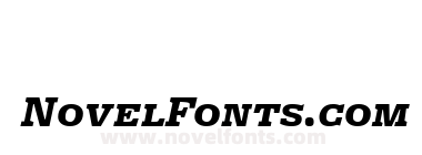 FreightMicro BlackItalicSC