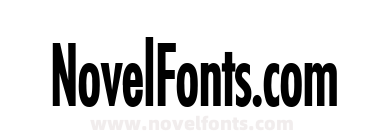 Fuji Thin Bold