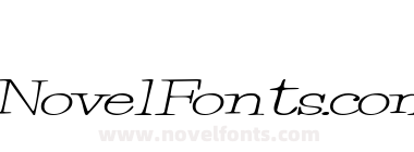 Merrill Italic