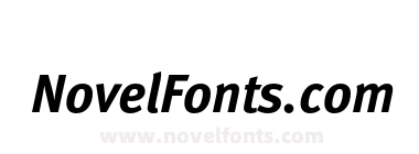MetaBoldCELF-Italic
