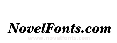 NewBaskervilleEF-BlackItalic