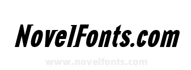 NewGlobalHeavy Italic