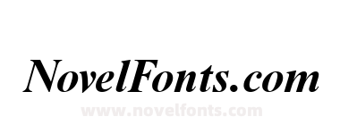 NimbusRomNo9T Bold Italic