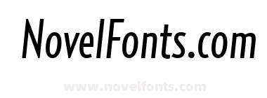 RelayComp-RegularItalic