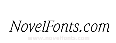 WeidemannStd-BookItalic