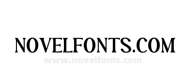 ELLFIELDRegular