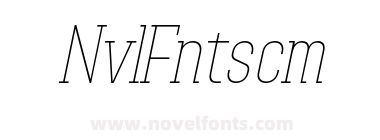 AdirekSerifDemoThinItalic-9YR3K
