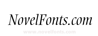 EllingtonMT-LightItalic