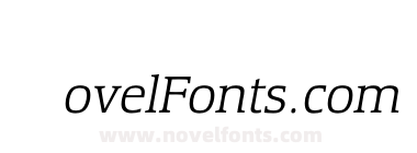 EquestrienneLightItalic