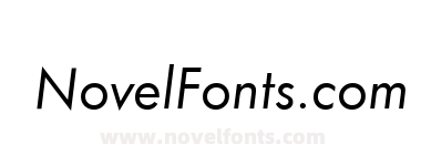 FunctionBookItalic