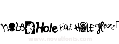 HoleWebMaster