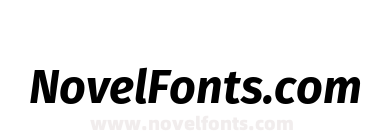 Fira Sans Bold Italic