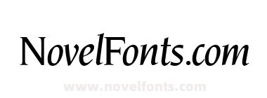 NoveltyMediumItalic