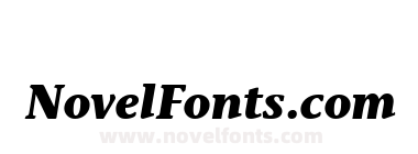 StoneInformal LT Bold