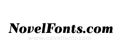 TT Barrels Trl Black Italic