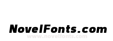 Freeroad Black Italic