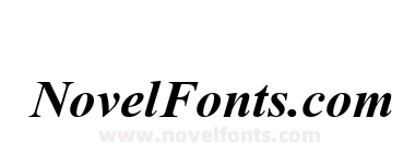 Times New Roman Bold Italic