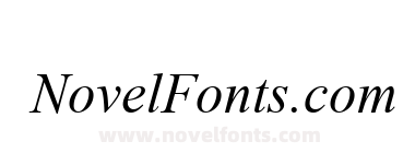 Times New Roman Italic