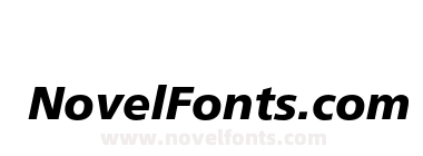 FrutigerLT-BlackItalic