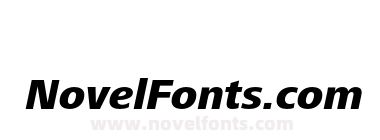 FrutigerNextLT-HeavyItalic