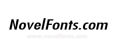 Fuji Extended Italic