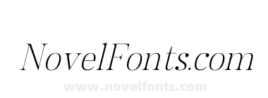 Allisa Italic