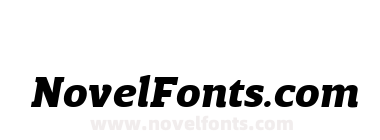 Breve Slab Text Black Italic