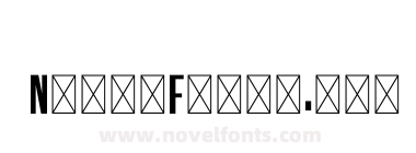 Designer Bold