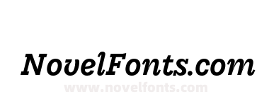Edie and Eddy Slab DEMO Medium Italic