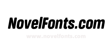 FSP DEMO Black Cn It Italic