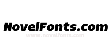 FSP DEMO Dillan Black Italic