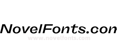 FSP DEMO FreigeistX Wide Bold Italic