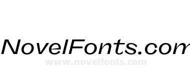 FSP DEMO FreigeistX Wide Medium Italic