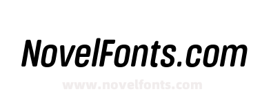 FSP DEMO Medium Cn It Italic