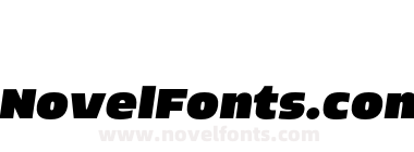 FSP DEMO Nordt Slim Extra Black Italic