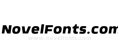 FSP DEMO Nordt Slim Medium Italic