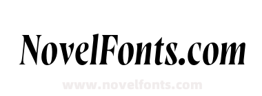 FSP DEMO WayfinderCF Light Italic