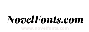 Flaneur_TRIAL_V0.2 Heavy Italic
