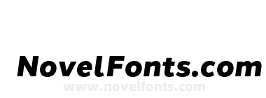 Halcom Black Italic