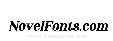 Mechanized Black Italic