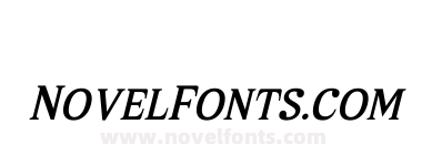 Melton Bronze Timeless Italic