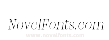 Meshed Display Thin Slanted