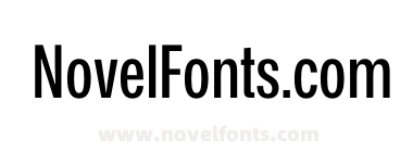 Mona Sans Medium Narrow