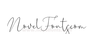 New York Signature