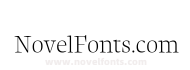 News Serif Large Light
