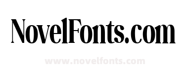 Perfectly Nostalgic Bold Bold