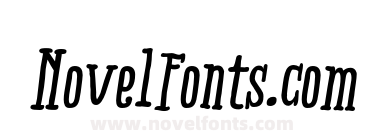 Ridemy Bike Serif Pro Bold Italic